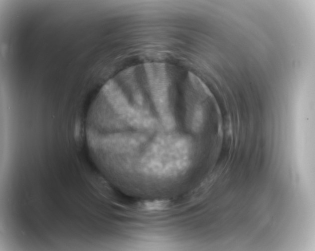 X0000088750134200706212121