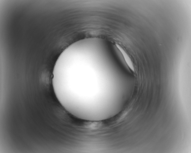 X0000088750135200706212121