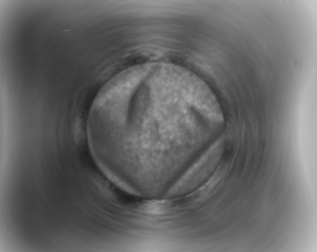 X0000088750136200706212121