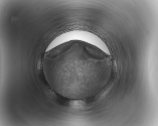 X0000088750137200706212121