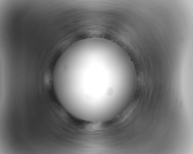 X0000088750138200706212121