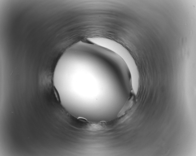 X0000088750141200706212121