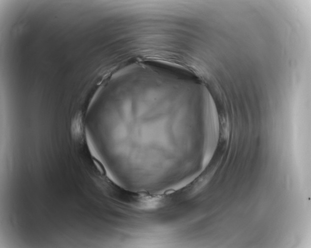 X0000088750143200706212121