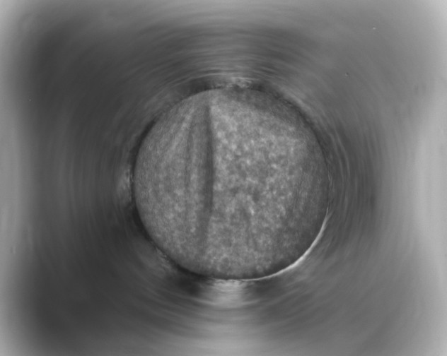 X0000088750144200706212121