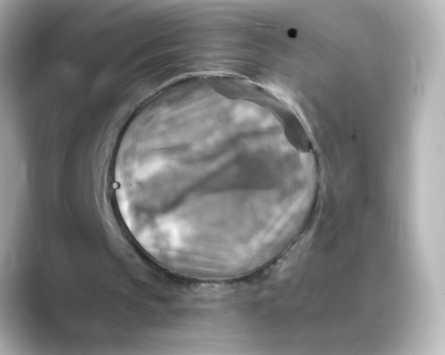 X0000088750145200706212121