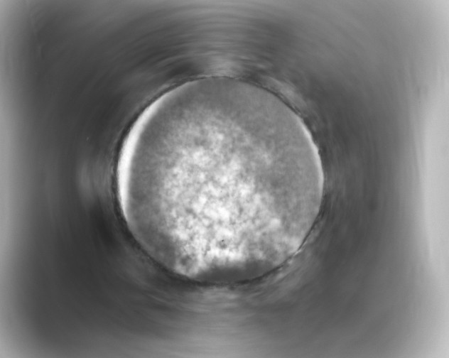 X0000088750146200706212121