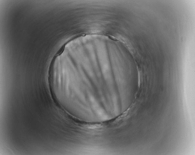 X0000088750147200706212121