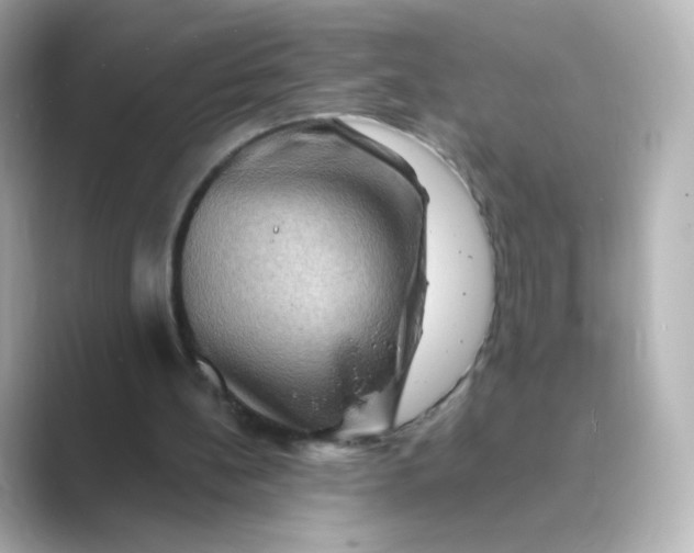 X0000088750148200706212121