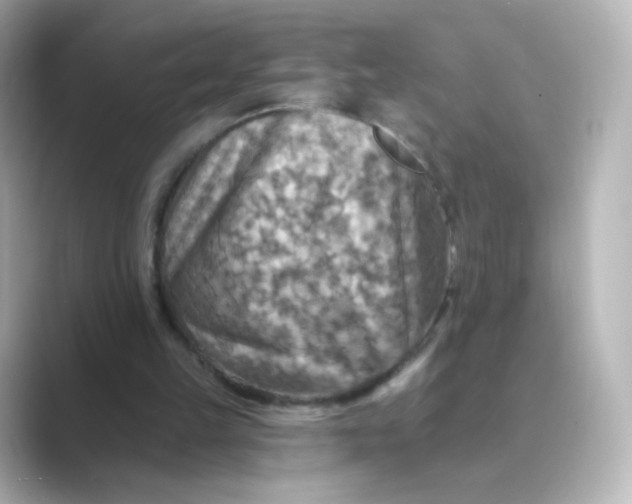 X0000088750149200706212121