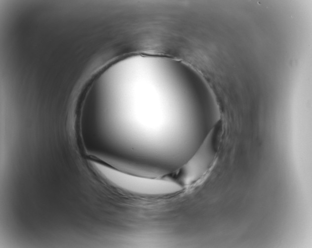 X0000088750150200706212121