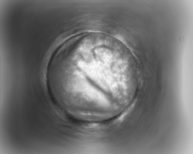 X0000088750151200706212121