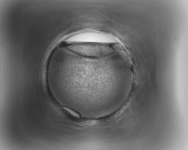 X0000088750152200706212121