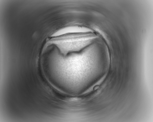 X0000088750153200706212121