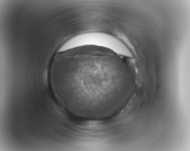 X0000088750154200706212121