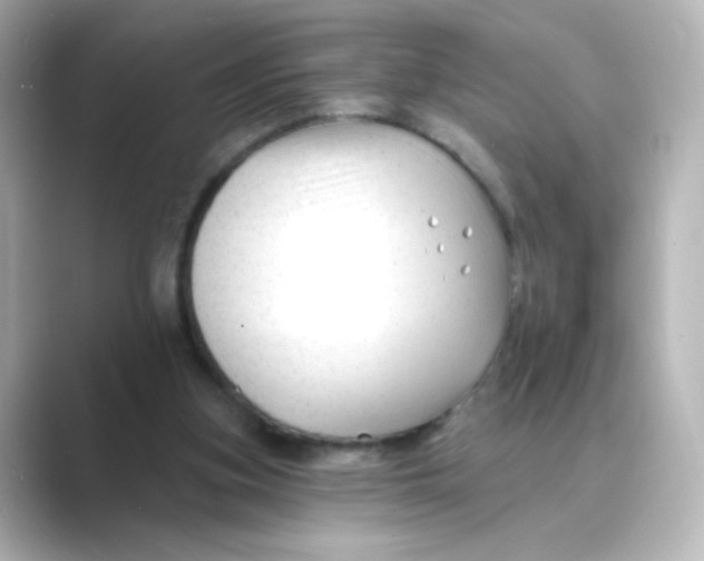 X0000088750155200706212121