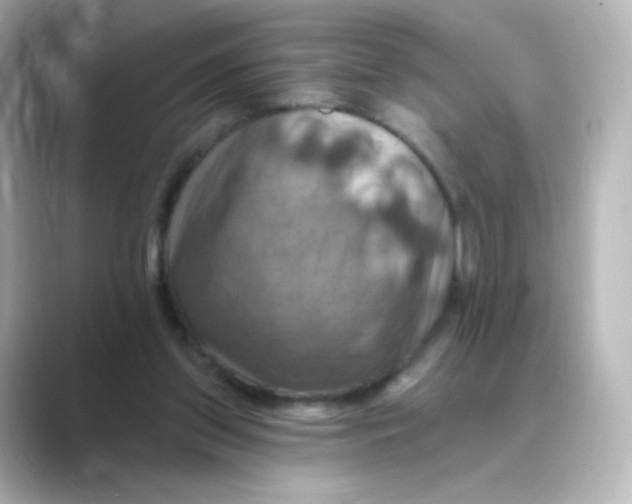 X0000088750157200706212121