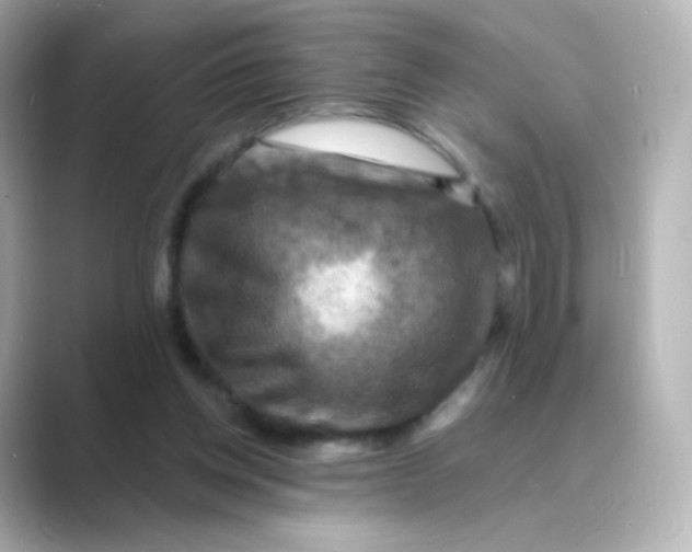 X0000088750158200706212121