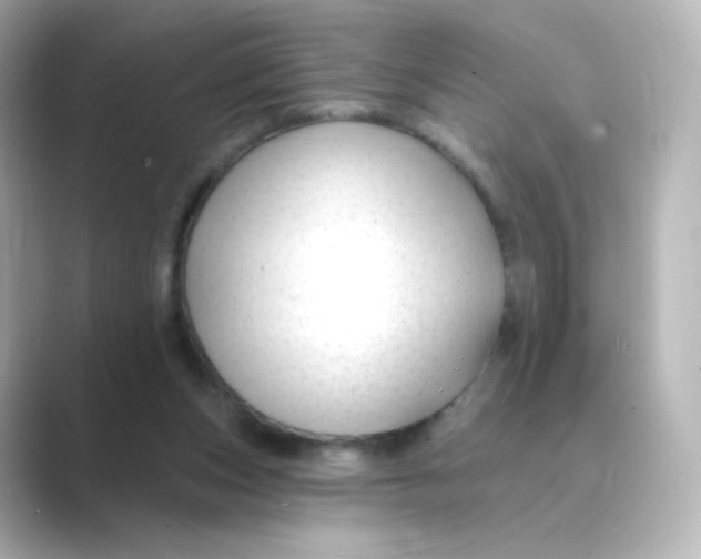 X0000088750159200706212121