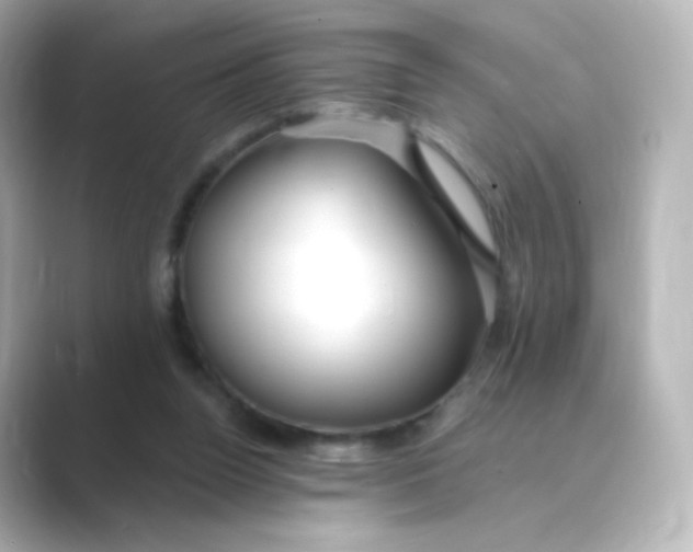 X0000088750160200706212121