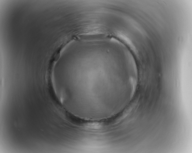 X0000088750161200706212121