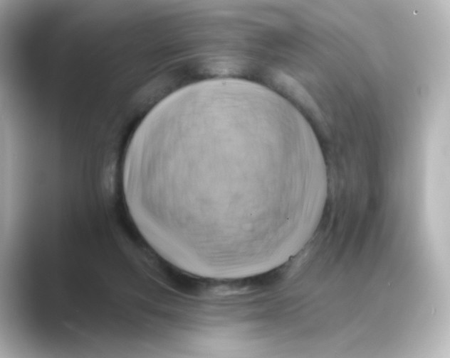 X0000088750163200706212121