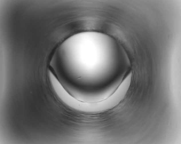 X0000088750164200706212121