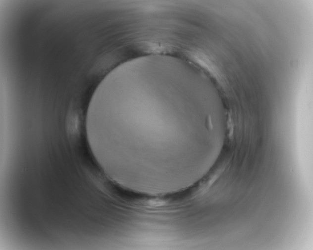 X0000088750165200706212121