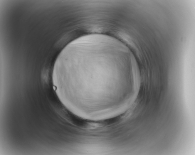 X0000088750167200706212121