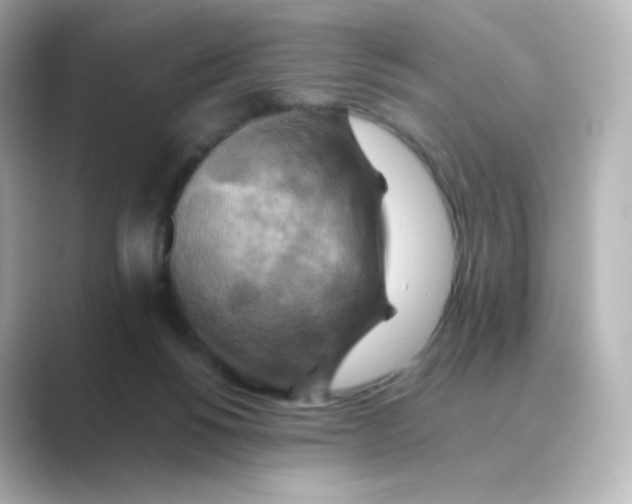 X0000088750168200706212121