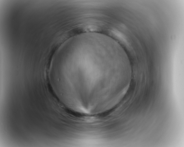 X0000088750169200706212121