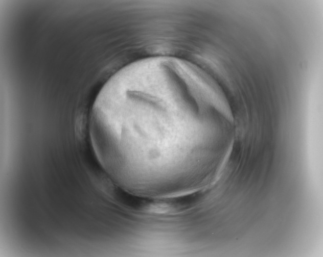 X0000088750171200706212121