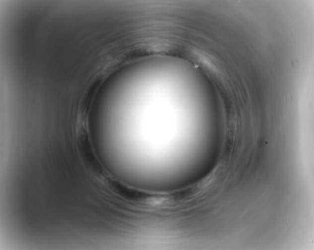 X0000088750172200706212121