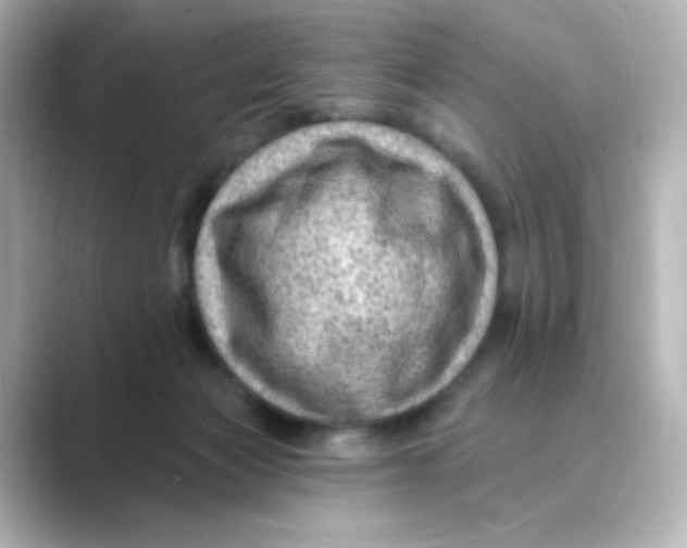 X0000088750173200706212121