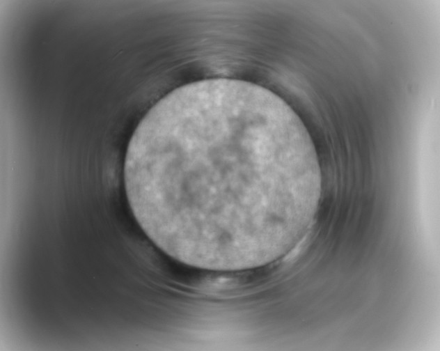 X0000088750174200706212121