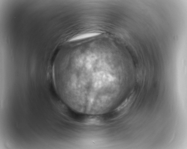 X0000088750175200706212121