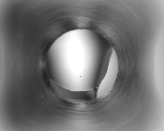 X0000088750176200706212121