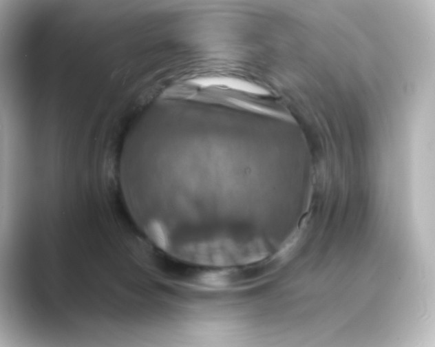 X0000088750178200706212121