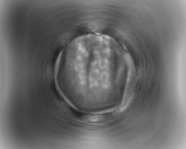 X0000088750182200706212121