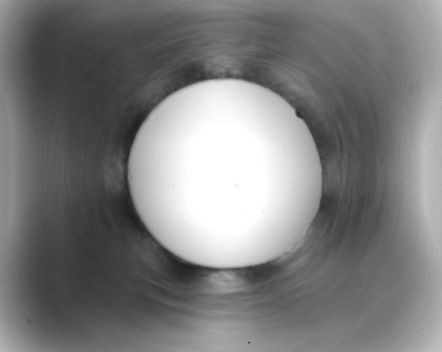 X0000088750183200706212121