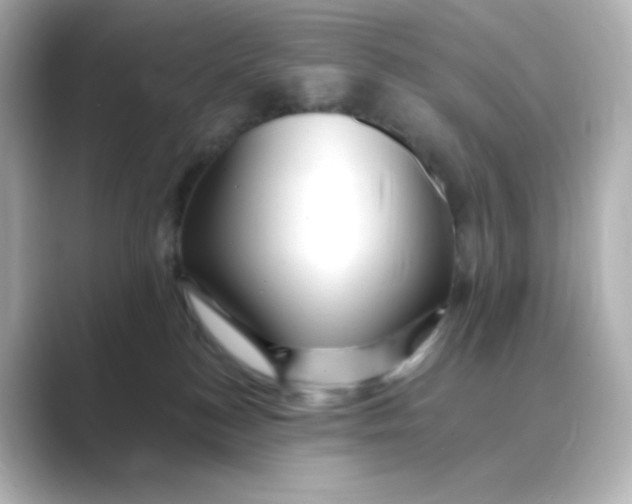 X0000088750184200706212121