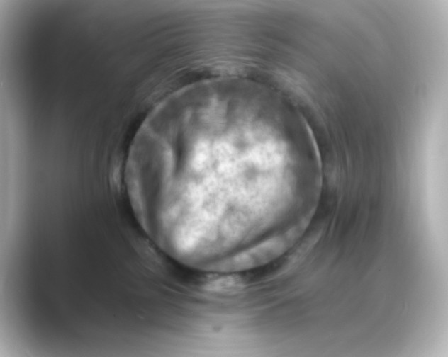 X0000088750185200706212121