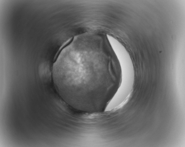 X0000088750186200706212121