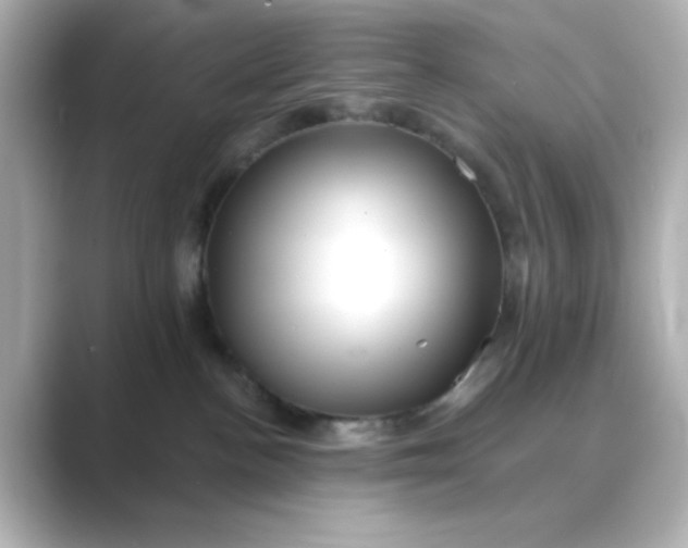 X0000088750188200706212121