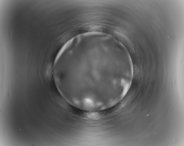 X0000088750189200706212121