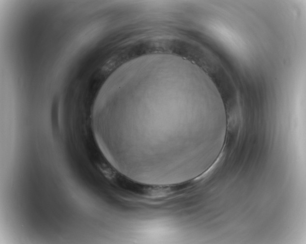 X0000088750191200706212121