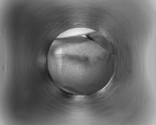 X0000088750192200706212121