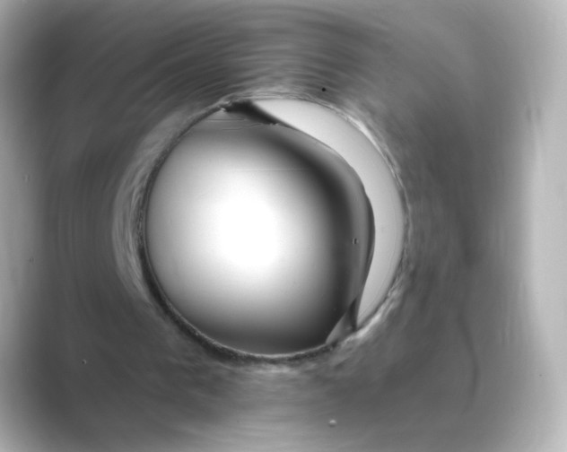 X0000088750193200706212121