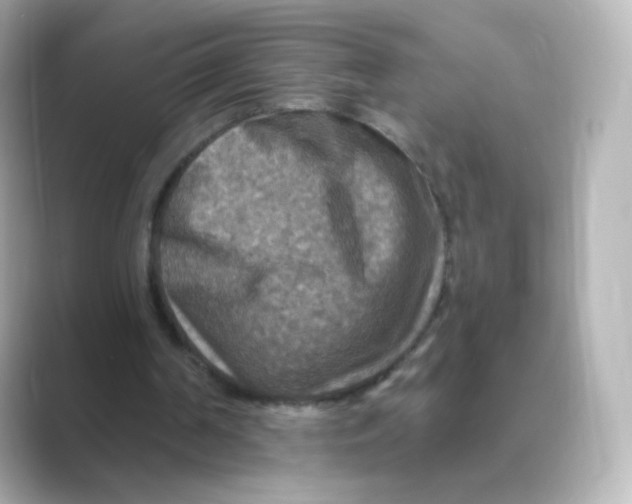 X0000088750194200706212121