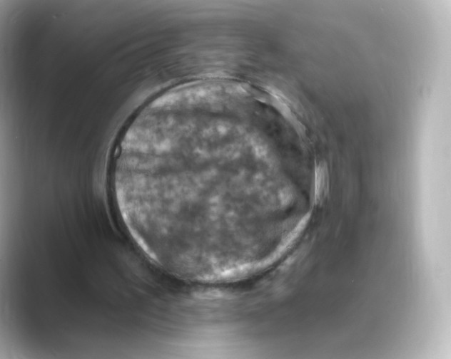 X0000088750195200706212121