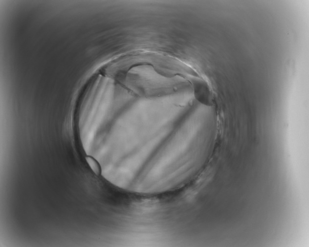 X0000088750196200706212121